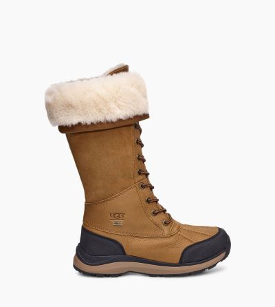 UGG Adirondack III Tall Boots for Womens - Chestnut/Brown India